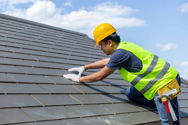 Roof Gutter Cleaning in Bellevue, NE