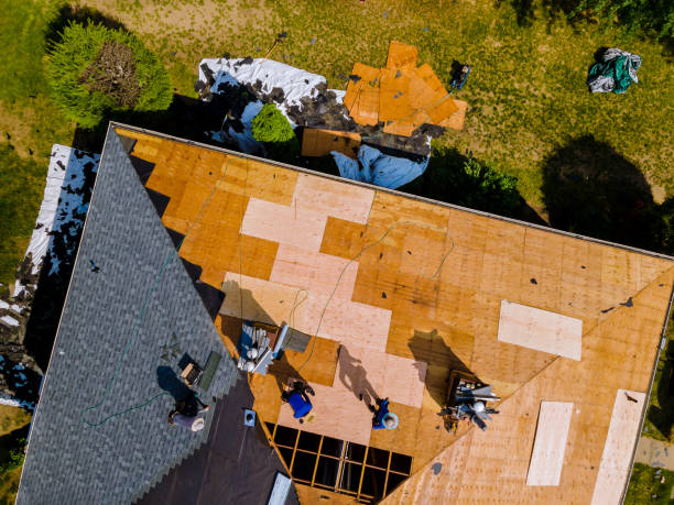 Best Flat Roof Repair Services  in Bellevue, NE