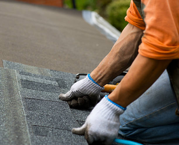 Best Shingle Roofing Installation  in Bellevue, NE