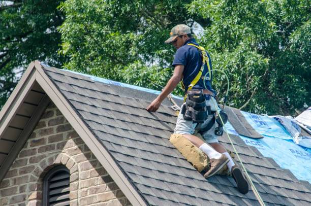 Roof Waterproofing Services in Bellevue, NE